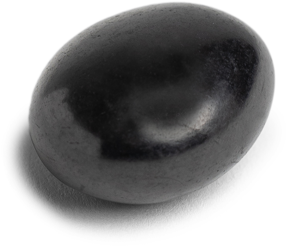 Shungite Tumbled Stone