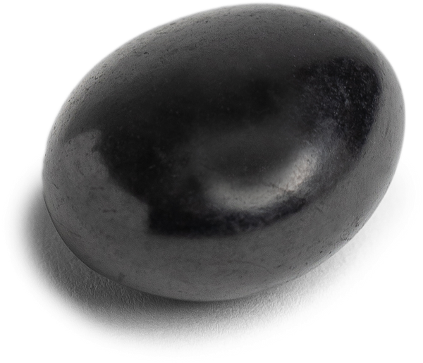 Shungite Tumbled Stone