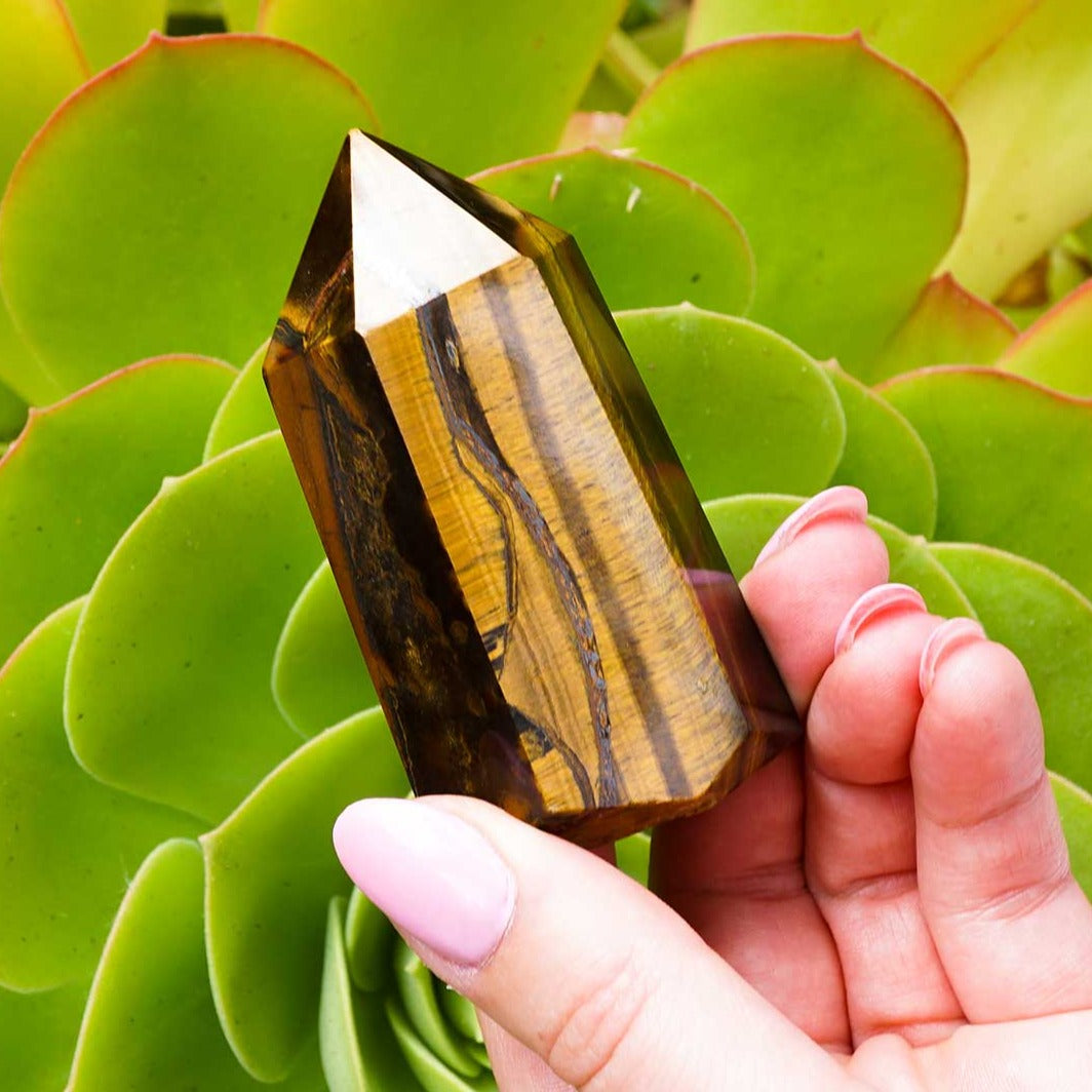 Tiger's Eye Point
